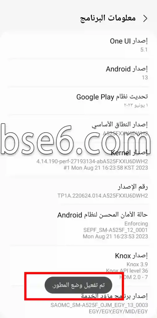 خيارات المطورين فى Samsung Galaxy S20 FE 5G