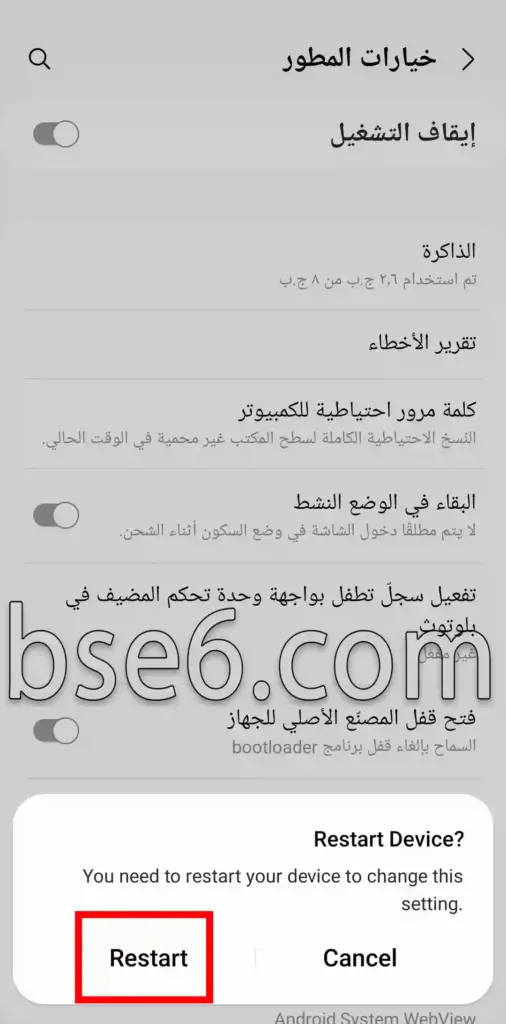 خيارات المطور