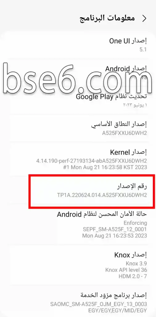 خيار المطور Samsung Galaxy S20 FE 5G