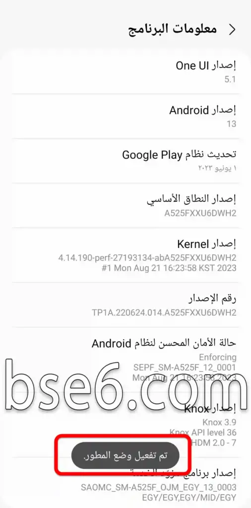كيفية تمكين خيارات المطور