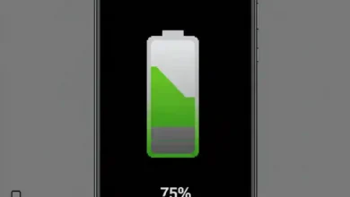 Displaying the battery percentage