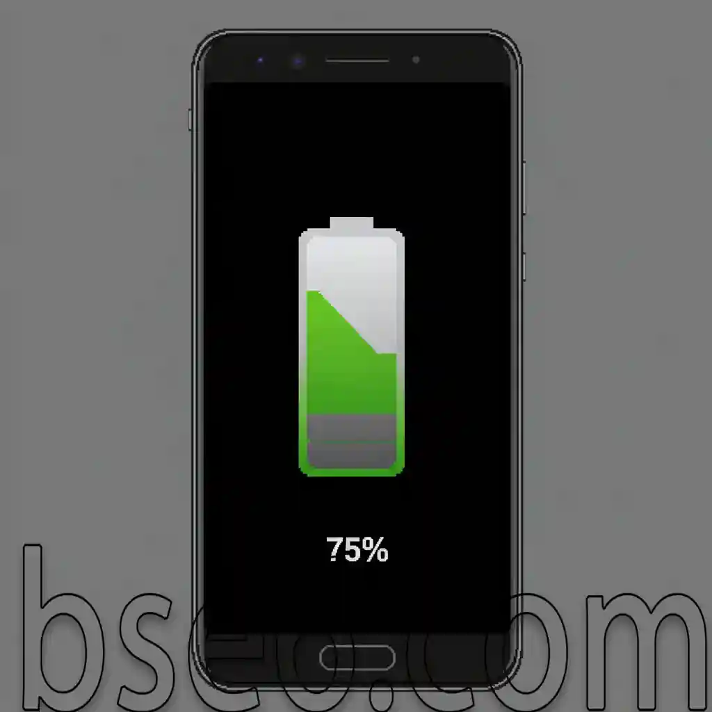 Displaying the battery percentage