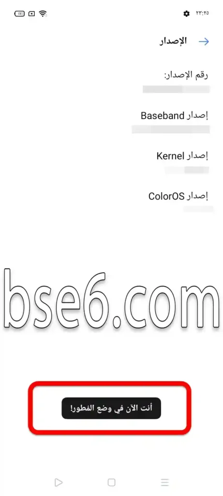 طرق تمكين وايقاف تمكين خيارات المطور لهاتف Realme